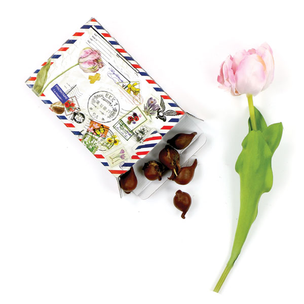 Bulbes de fleurs en tant que mailing - image 2